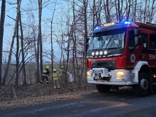 Pożar w Wytycznie – przyczyną zerwana linia energetyczna [ZDJĘCIA]