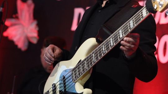 Dzień Kobiet w Leśniowicach. Pani bawiły się z zespołem Cookies Band cz. II [GALERIA ZDJĘĆ]