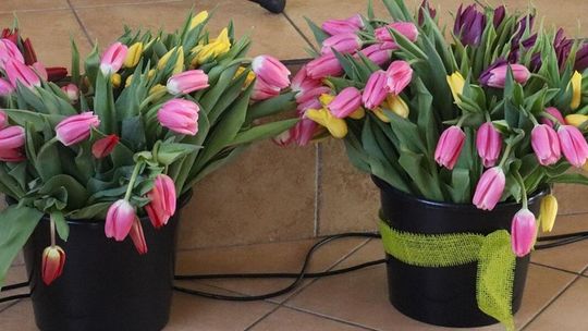 Gm. Białopole. Gminny Dzień Kobiet w świetlicy w Raciborowicach–Kolonii [GALERIA ZDJĘĆ]