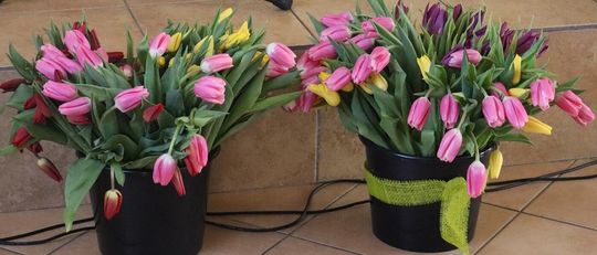 Gm. Białopole. Gminny Dzień Kobiet w świetlicy w Raciborowicach–Kolonii [GALERIA ZDJĘĆ]