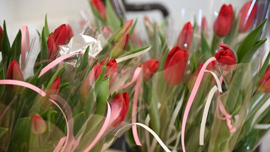 Wyjątkowy Dzień Kobiet w Kraśniczynie [GALERIA ZDJĘĆ]