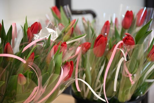 Wyjątkowy Dzień Kobiet w Kraśniczynie [GALERIA ZDJĘĆ]