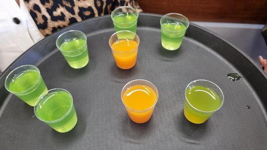 Chełm. Dzień Otwarty w Gastronomach. Było dużo pyszności! (GALERIA ZDJĘĆ]