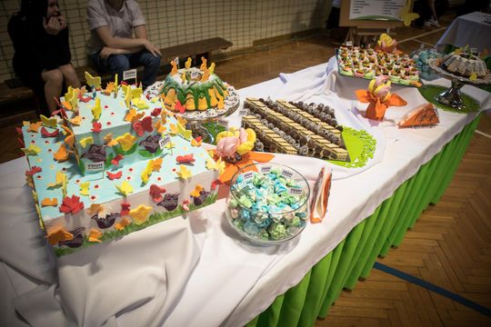 Chełm. Dzień Otwarty w Gastronomach. Było dużo pyszności! (GALERIA ZDJĘĆ]