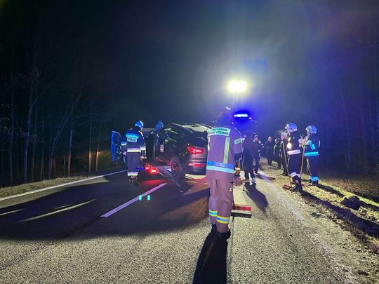 Potrącenie jelenia w Adampolu. Pasażerowie cali, zwierzę nie przeżyło [ZDJĘCIA]