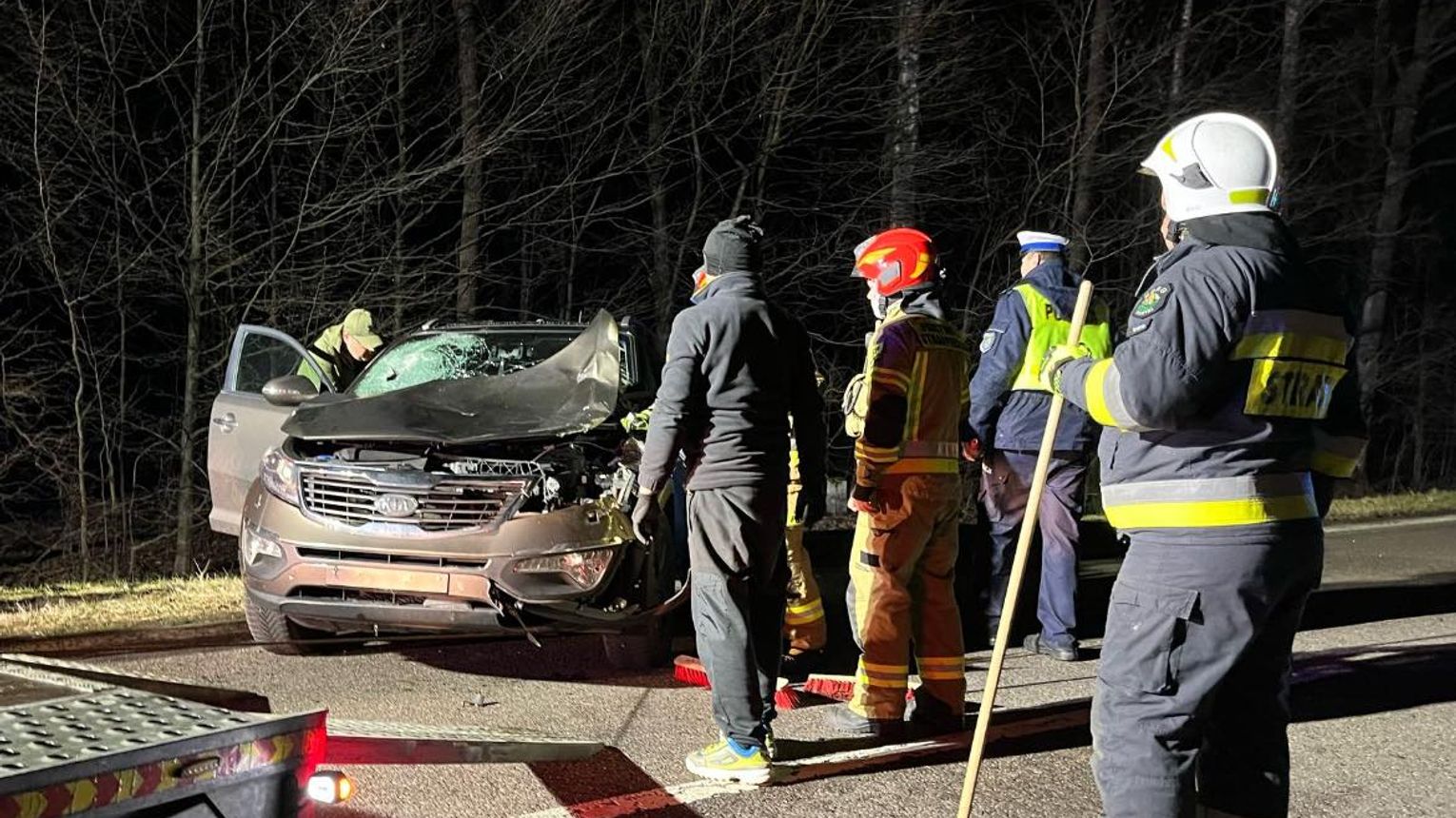 Potrącenie jelenia w Adampolu. Pasażerowie cali, zwierzę nie przeżyło [ZDJĘCIA]