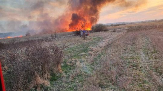 Wypalanie traw to wiosenna plaga! Strażacy wyjeżdżają do pożarów po kilka razy dziennie [ZDJĘCIA]