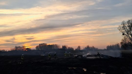 Wypalanie traw to wiosenna plaga! Strażacy wyjeżdżają do pożarów po kilka razy dziennie [ZDJĘCIA]