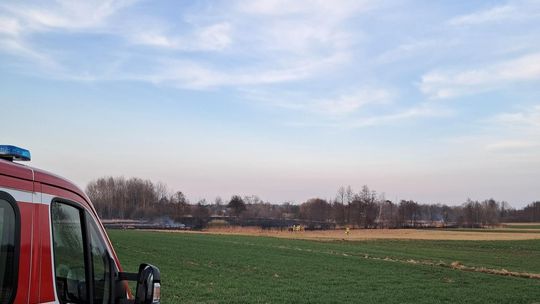 Wypalanie traw to wiosenna plaga! Strażacy wyjeżdżają do pożarów po kilka razy dziennie [ZDJĘCIA]
