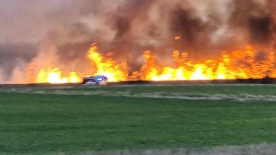 Wypalanie traw to wiosenna plaga! Strażacy wyjeżdżają do pożarów po kilka razy dziennie [ZDJĘCIA]