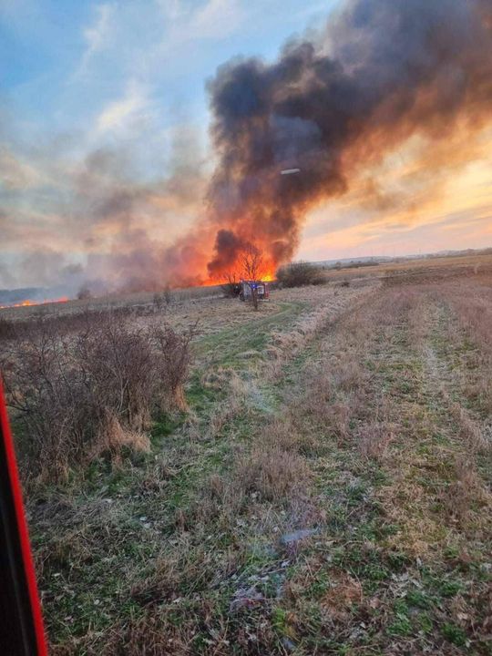 Wypalanie traw to wiosenna plaga! Strażacy wyjeżdżają do pożarów po kilka razy dziennie [ZDJĘCIA]