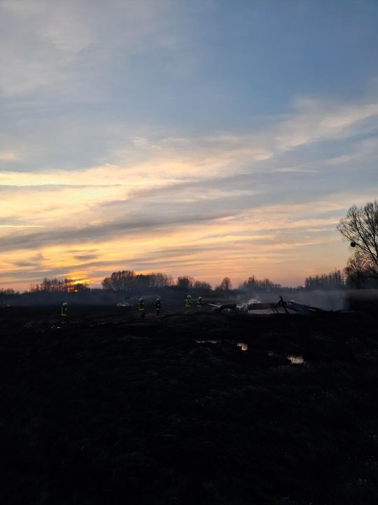 Wypalanie traw to wiosenna plaga! Strażacy wyjeżdżają do pożarów po kilka razy dziennie [ZDJĘCIA]