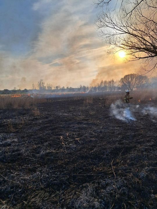 Wypalanie traw to wiosenna plaga! Strażacy wyjeżdżają do pożarów po kilka razy dziennie [ZDJĘCIA]