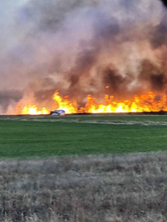 Wypalanie traw to wiosenna plaga! Strażacy wyjeżdżają do pożarów po kilka razy dziennie [ZDJĘCIA]