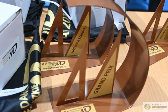 XV Jubileuszowe Spotkania Taneczne „Marce Dance” Krasnystaw 2025 [GALERIA ZDJĘĆ]