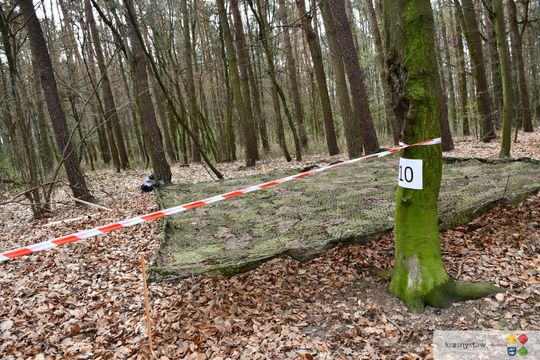 Pierwsza edycja Firerun Team Challenge Krasnystaw 2025 [GALERIA ZDJĘĆ]