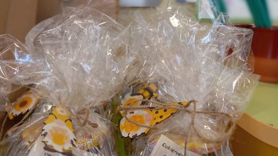 Chełm. Międzyprzedszkolny quiz "Bo przedszkolak każdy wie, jak z ekologią bawić się...?" [GALERIA ZDJĘĆ]