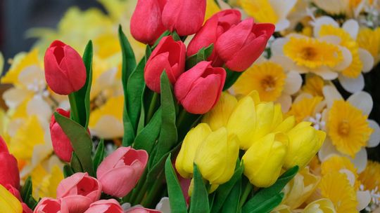 Chełm. Jarmark Wielkanocny na miejskim deptaku [GALERIA ZDJĘĆ]