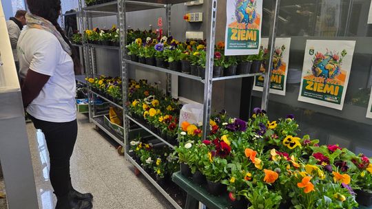 Trwa Ekopiknik w Chełmskiej Bibliotece Publicznej [ZDJĘCIA]