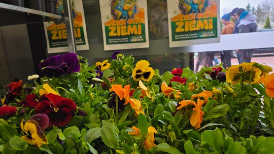 Trwa Ekopiknik w Chełmskiej Bibliotece Publicznej [ZDJĘCIA]