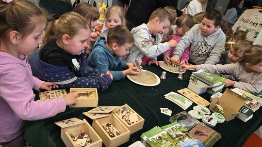 Trwa Ekopiknik w Chełmskiej Bibliotece Publicznej [ZDJĘCIA]