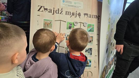 Trwa Ekopiknik w Chełmskiej Bibliotece Publicznej [ZDJĘCIA]