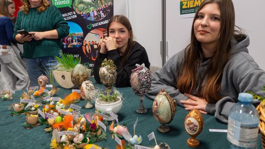 Trwa Ekopiknik w Chełmskiej Bibliotece Publicznej [ZDJĘCIA]