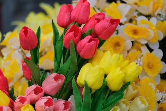 Chełm. Jarmark Wielkanocny na miejskim deptaku [GALERIA ZDJĘĆ]