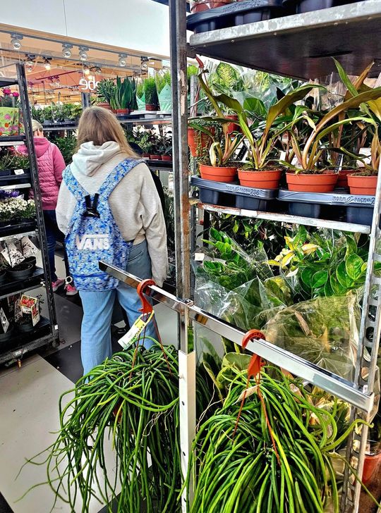 Chełm. Trwają Wielkie Targi Roślin w Galerii Chełm [GALERIA ZDJĘĆ]