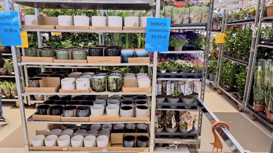 Chełm. Trwają Wielkie Targi Roślin w Galerii Chełm [GALERIA ZDJĘĆ]