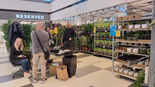 Chełm. Trwają Wielkie Targi Roślin w Galerii Chełm [GALERIA ZDJĘĆ]
