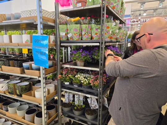 Chełm. Trwają Wielkie Targi Roślin w Galerii Chełm [GALERIA ZDJĘĆ]