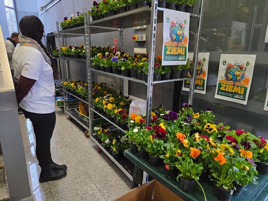 Trwa Ekopiknik w Chełmskiej Bibliotece Publicznej [ZDJĘCIA]