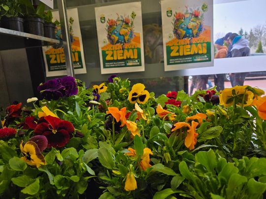 Trwa Ekopiknik w Chełmskiej Bibliotece Publicznej [ZDJĘCIA]