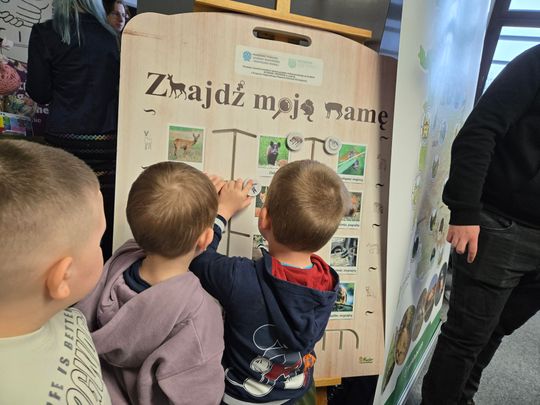 Trwa Ekopiknik w Chełmskiej Bibliotece Publicznej [ZDJĘCIA]