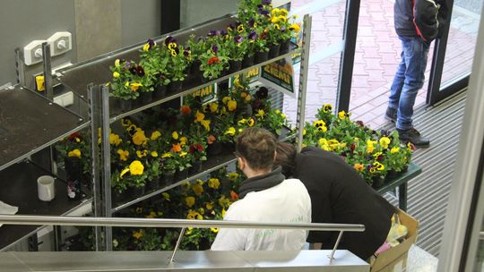 Trwa Ekopiknik w Chełmskiej Bibliotece Publicznej [ZDJĘCIA]