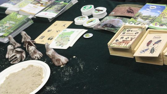 Trwa Ekopiknik w Chełmskiej Bibliotece Publicznej [ZDJĘCIA]