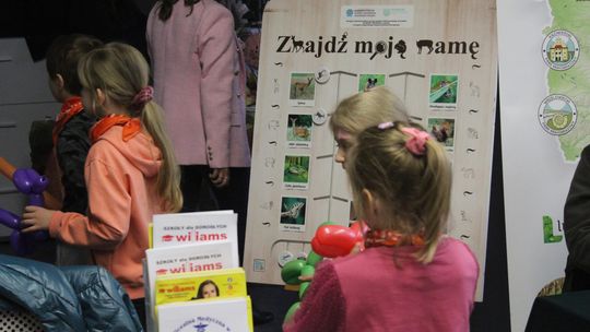 Trwa Ekopiknik w Chełmskiej Bibliotece Publicznej [ZDJĘCIA]