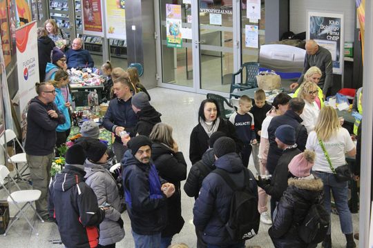 Trwa Ekopiknik w Chełmskiej Bibliotece Publicznej [ZDJĘCIA]