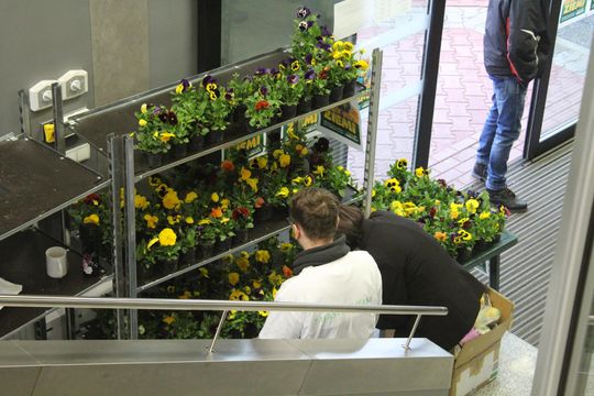 Trwa Ekopiknik w Chełmskiej Bibliotece Publicznej [ZDJĘCIA]