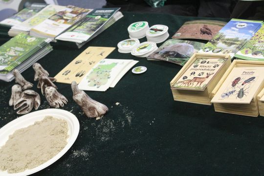 Trwa Ekopiknik w Chełmskiej Bibliotece Publicznej [ZDJĘCIA]