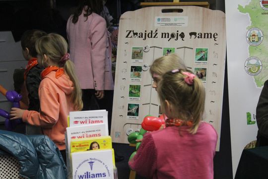 Trwa Ekopiknik w Chełmskiej Bibliotece Publicznej [ZDJĘCIA]