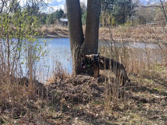 Szukają go z powietrza, wody i lądu [ZDJĘCIA]