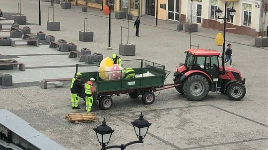 Widać, że zaraz święta. Wielkanocne kolorowe jaja pojawiły się w Chełmie [ZDJĘCIA]