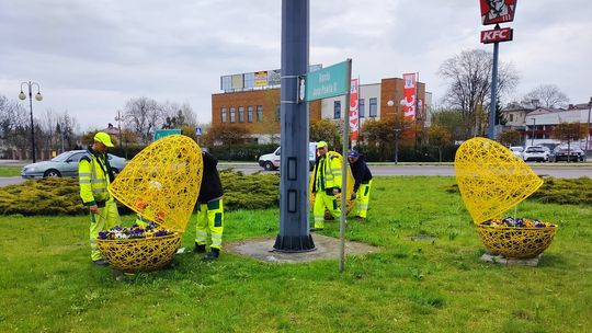 Widać, że zaraz święta. Wielkanocne kolorowe jaja pojawiły się w Chełmie [ZDJĘCIA]