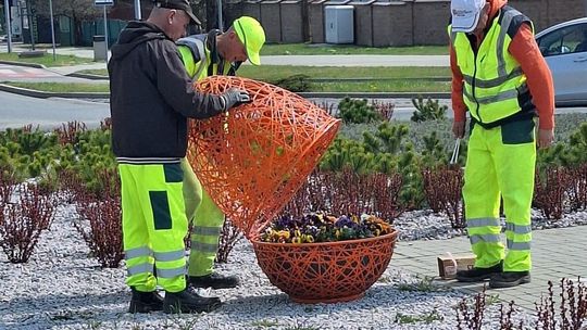 Widać, że zaraz święta. Wielkanocne kolorowe jaja pojawiły się w Chełmie [ZDJĘCIA]