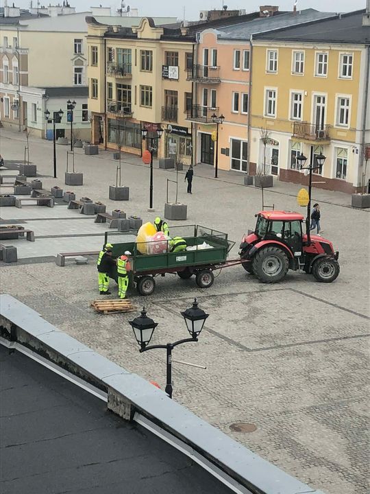 Widać, że zaraz święta. Wielkanocne kolorowe jaja pojawiły się w Chełmie [ZDJĘCIA]