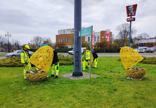 Widać, że zaraz święta. Wielkanocne kolorowe jaja pojawiły się w Chełmie [ZDJĘCIA]