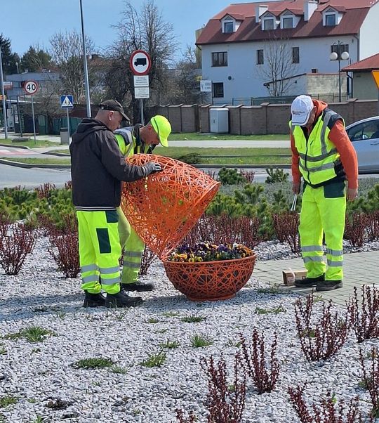 Widać, że zaraz święta. Wielkanocne kolorowe jaja pojawiły się w Chełmie [ZDJĘCIA]