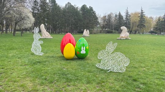 Widać, że zaraz święta. Wielkanocne kolorowe jaja pojawiły się w Chełmie [ZDJĘCIA]